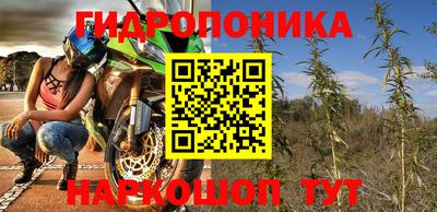 прущие грибы Краснодар