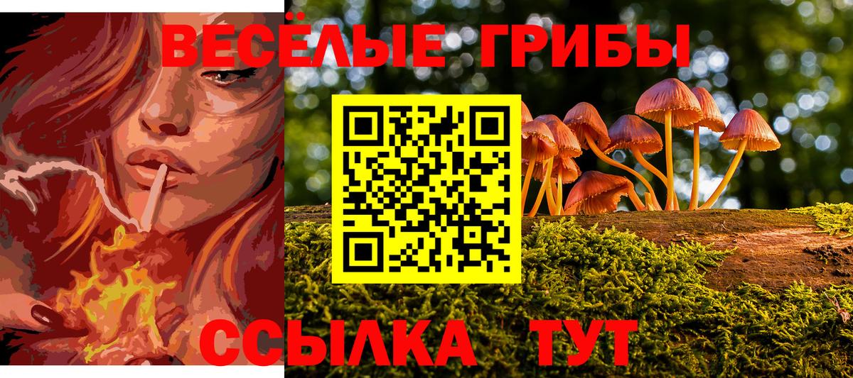 Чебаркуль  Галлюциногенные грибы Psilocybe  Псилоцибиновые грибы Psilocybine cubensis  Вход с VPN 
