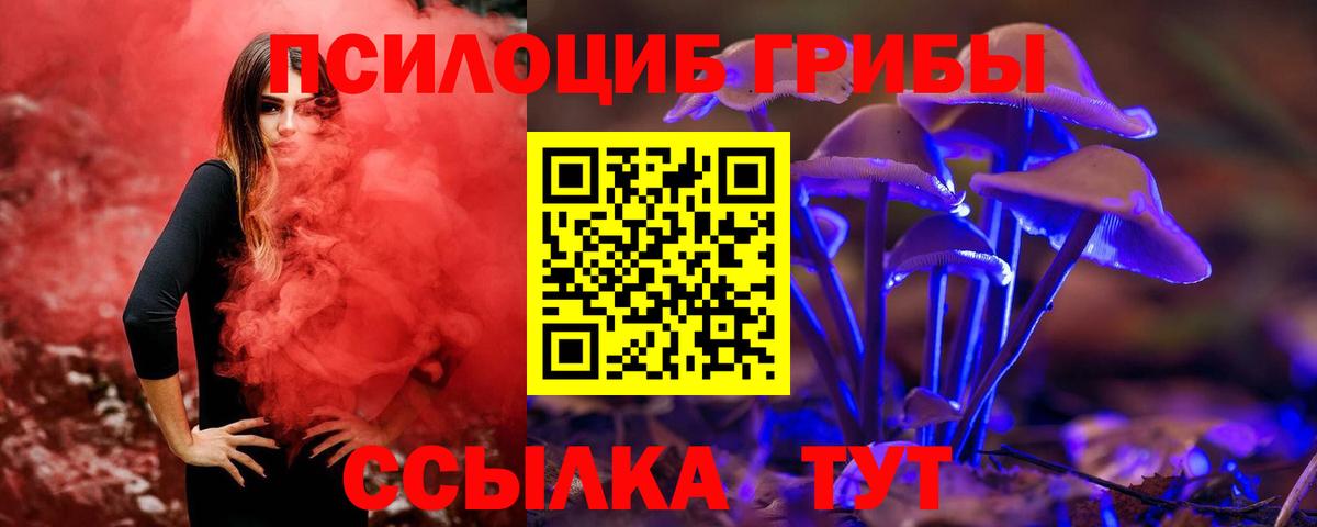 Псилоцибиновые грибы MAGIC MUSHROOMS Чебаркуль